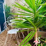 Apartman Havre De Paix Avec Jardin Et Clim En Centre De