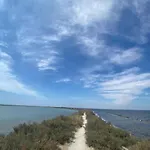 Havre De Paix Avec Jardin Et Clim En Centre De Apartman Sète