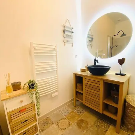 Havre De Paix Avec Jardin Et Clim En Centre De Apartment *
