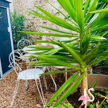 Apartamento Havre De Paix Avec Jardin Et Clim En Centre De
