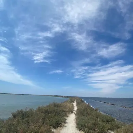 Havre De Paix Avec Jardin Et Clim En Centre De Apartamento Sète